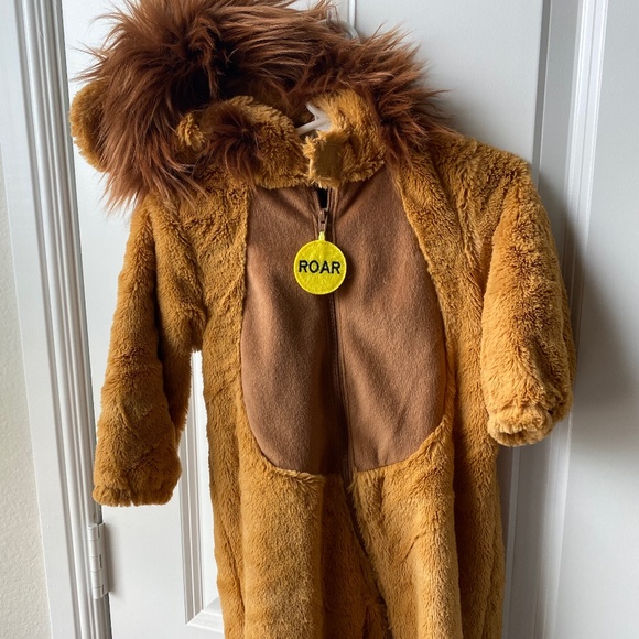 Other - Lion costume